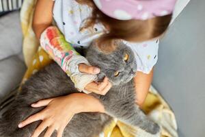 Teen girl with a broken arm orthopedic cast play with cat photo