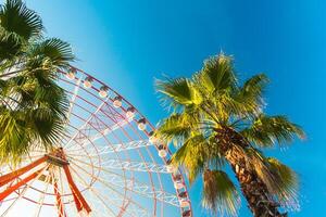 View of the Ferris wheel attraction against a background of blue sky between palm trees. Ferris wheel in the Georgian city of Batumi. photo