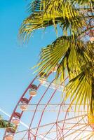 View of the Ferris wheel attraction against a background of blue sky between palm trees. Ferris wheel in the Georgian city of Batumi. photo