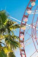 View of the Ferris wheel attraction against a background of blue sky between palm trees. Ferris wheel in the Georgian city of Batumi. photo