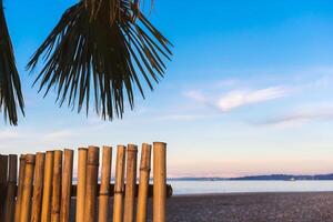 Abstract background on a tropical holiday theme. Tropical background on the seashore with palm tree and bamboo fence. photo