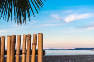 Abstract background on a tropical holiday theme. Tropical background on the seashore with palm tree and bamboo fence. photo