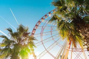 View of the Ferris wheel attraction against a background of blue sky between palm trees. Ferris wheel in the Georgian city of Batumi. photo