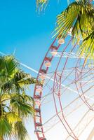 View of the Ferris wheel attraction against a background of blue sky between palm trees. Ferris wheel in the Georgian city of Batumi. photo