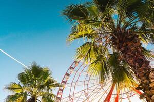 View of the Ferris wheel attraction against a background of blue sky between palm trees. Ferris wheel in the Georgian city of Batumi. photo