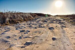 Dirt road on a clear sunny day. Off-road on rough terrain. photo