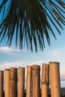 Abstract background on a tropical holiday theme. Tropical background on the seashore with palm tree and bamboo fence. photo