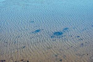 ondas en el superficie de el agua. antecedentes de ondas en un estanque con claro agua y un arenoso abajo. foto