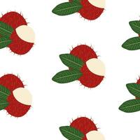 Fresh Rambutan Tropical Fruit Seamless Pattern On White Background vector