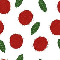 Fresh Rambutan Tropical Fruit Seamless Pattern On White Background vector