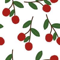 Fresh Rambutan Tropical Fruit Seamless Pattern On White Background vector