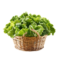 Vegetable isolated on transparent background png