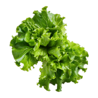 Vegetable isolated on transparent background png