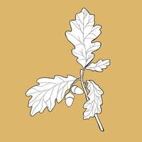 Oak branches with leaves and acorns. Can be used for postcards, invitations, advertising, web, textile and other. vector