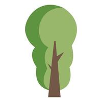 árbol plano icono, aislado en blanco antecedentes. vector