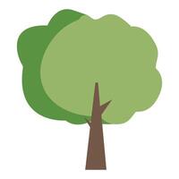 Flat tree icon illustration, Green tree icon. flat color design vector