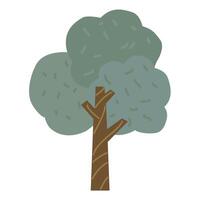 forest tree nature icon isolated on white background. colored tree illustration vector