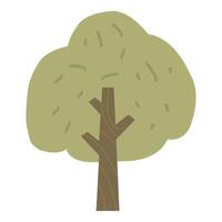 tree icon, illustration, colored tree illustration vector