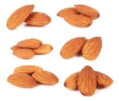 almond nut on white photo