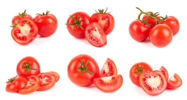 tomatoes on white photo