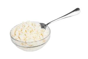 Cottage cheese on white photo