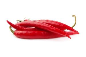 chili pepper on white photo