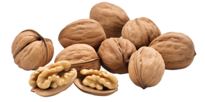 Nut made of wood transparent background png