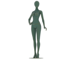 Female mannequin whole isolated on background. 3d rendering - illustration png