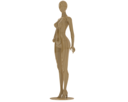 Female mannequin whole isolated on background. 3d rendering - illustration png