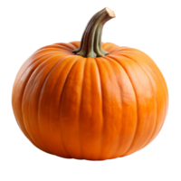 pumpkin isolated on background png