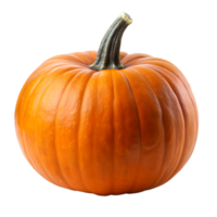 calabaza aislado en antecedentes png