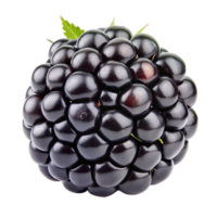 Blackberry isolated on background png