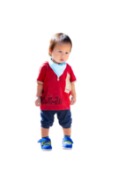 retrato de asiático niño chico en pie con un tímido expresión, en aislado antecedentes. niñito Envejecido 1 año y 5 5 meses viejo. png
