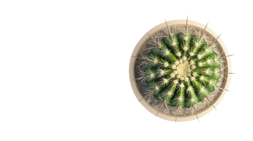 Aerial View of Potted Cactus on the transparent background, Format png