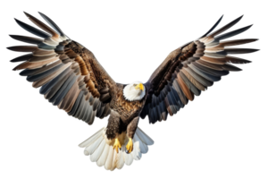 Majestic bald eagle in flight against a transparent sky png