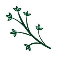 vert usine, arbre feuilles png