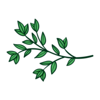 vert usine, arbre feuilles png