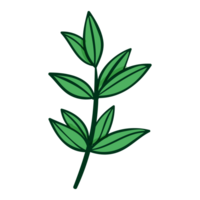 groen plant, boom bladeren png