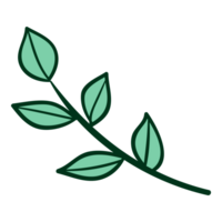 groen plant, boom bladeren png