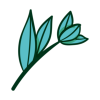 groen plant, boom bladeren png