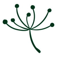 groen plant, boom bladeren png