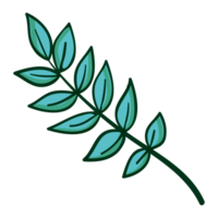 groen plant, boom bladeren png