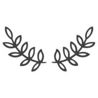 branches, laurier branche png