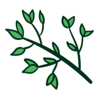 vert usine, arbre feuilles png