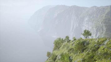 un' misterioso coperto di nebbia montagna con un' solitario albero in piedi alto video