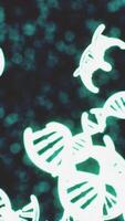 dna gene elica spirale molecola struttura video