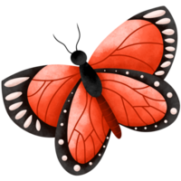 Butterfly cute watercolor insect png