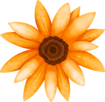 Sunflower beautiful blossom flower watercolor png