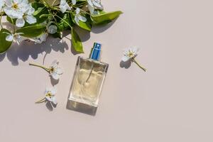An elegant bottle of cosmetic spray or perfume on a light background among the tree branches. Sunlight. copy space. top view. photo