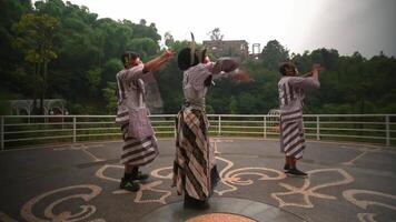 Traditional martial artists practicing in an outdoor setting with lush greenery and historical architecture video